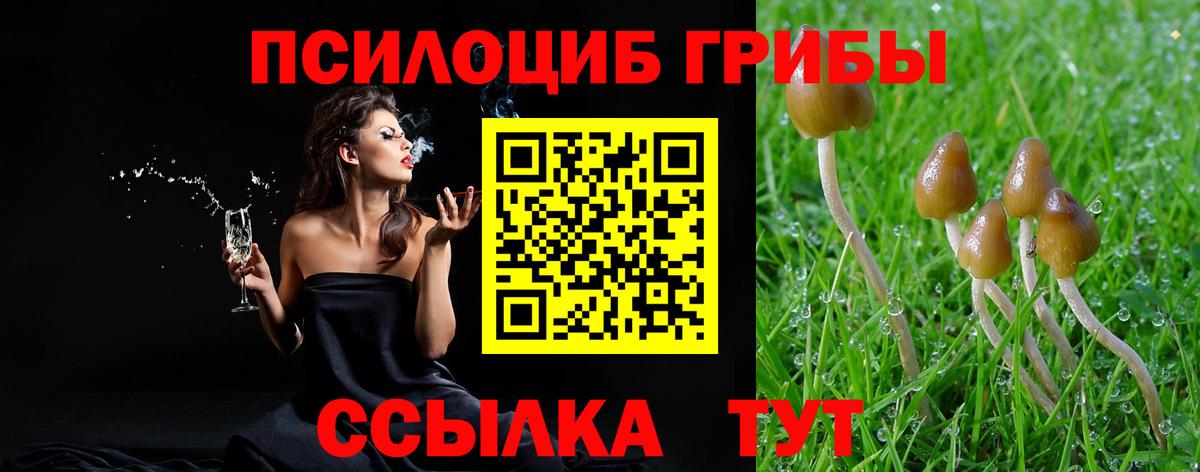 Псилоцибиновые грибы ЛСД Ревда